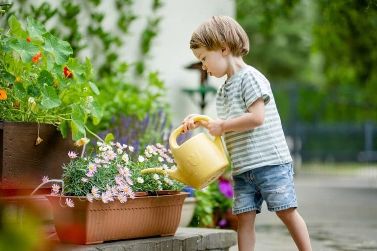 Choisir des plantes retombantes pour le jardin
